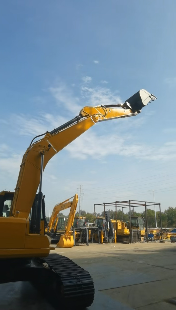 Pre-shipment Inspection & 